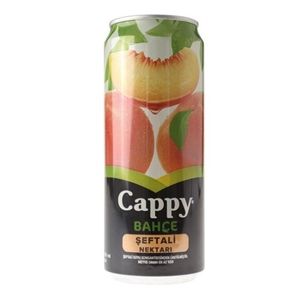 Cappy (25 cl.)